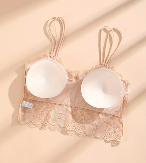PACK OF 3 | Net Fancy Light Padded Bra | DIFFERENT COLOURS