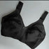 Pack of 2 Premium Capri Cotton Bras โ Soft Stretch Comfort