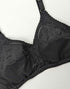 BEAUTIFULL PRINTED PURE COTTON BRA | PACK OF 2 DIFFERENT COLOURS