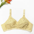 BEAUTIFULL PRINTED PURE COTTON BRA | PACK OF 2 DIFFERENT COLOURS